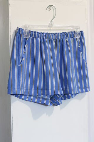 Calhoun Shorts in Blue Seersucker